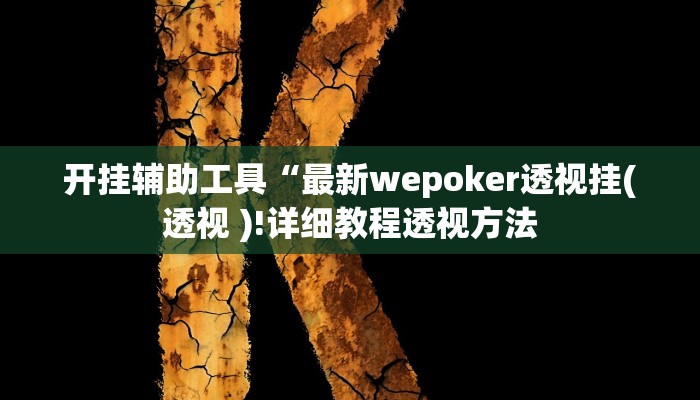 开挂辅助工具“最新wepoker透视挂(透视 )!详细教程透视方法