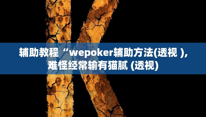 辅助教程“wepoker辅助方法(透视 ),难怪经常输有猫腻 (透视)