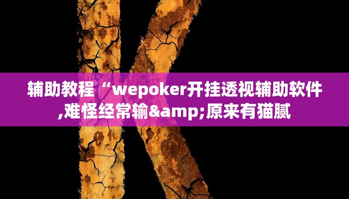 辅助教程“wepoker开挂透视辅助软件,难怪经常输&原来有猫腻