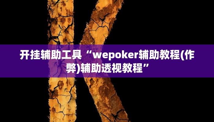开挂辅助工具“wepoker辅助教程(作弊)辅助透视教程”