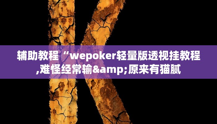 开挂辅助工具“wepoker开挂透视辅助挂(透视 )!详细教程透视方法
