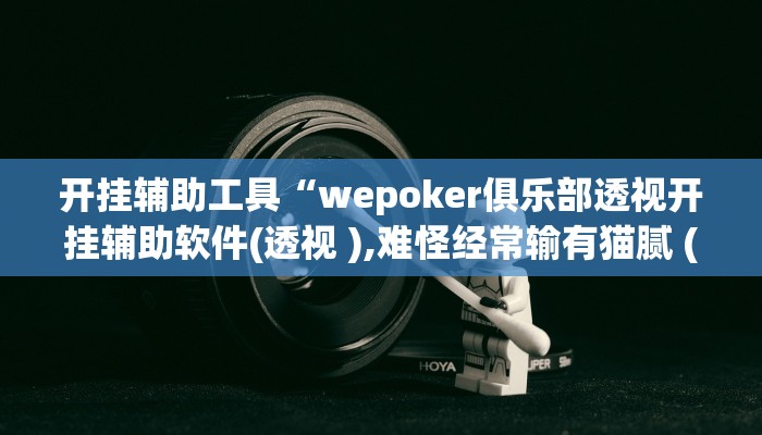 开挂辅助工具“wepoker俱乐部透视开挂辅助软件(透视 ),难怪经常输有猫腻 (透视)