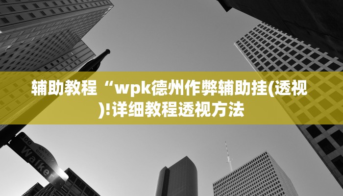 辅助教程“wpk德州作弊辅助挂(透视 )!详细教程透视方法