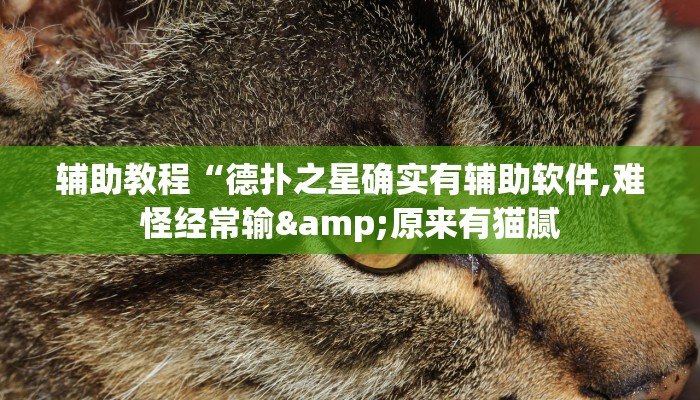 辅助教程“德扑之星确实有辅助软件,难怪经常输&原来有猫腻