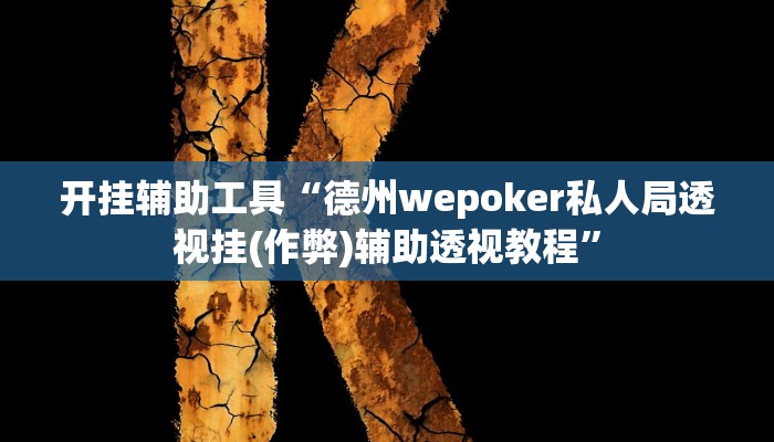 开挂辅助工具“德州wepoker私人局透视挂(作弊)辅助透视教程”
