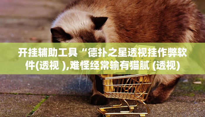 开挂辅助工具“德扑之星透视挂作弊软件(透视 ),难怪经常输有猫腻 (透视)