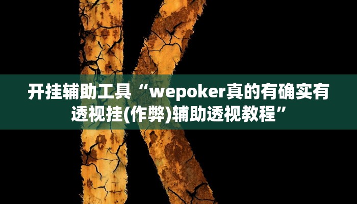 开挂辅助工具“wepoker真的有确实有透视挂(作弊)辅助透视教程”