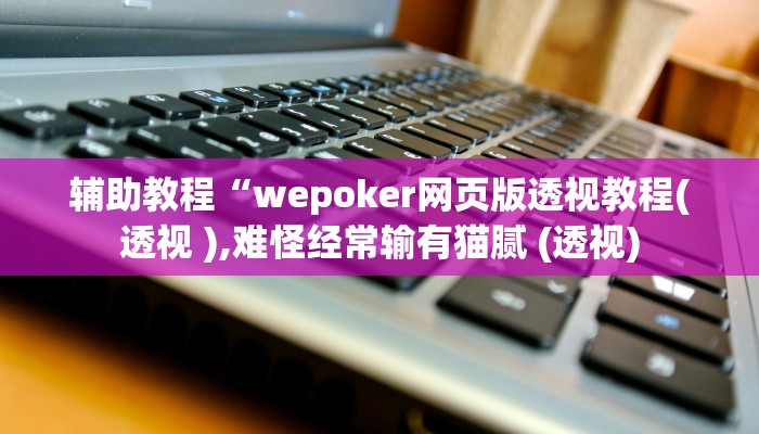 辅助教程“wepoker网页版透视教程(透视 ),难怪经常输有猫腻 (透视)