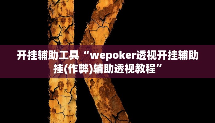 开挂辅助工具“wepoker透视开挂辅助挂(作弊)辅助透视教程”