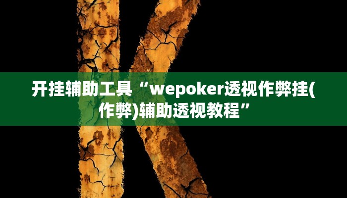 开挂辅助工具“wepoker透视作弊挂(作弊)辅助透视教程”