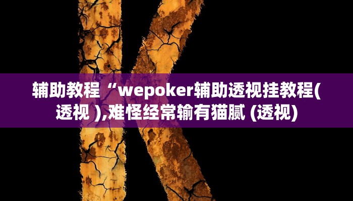 辅助教程“wepoker辅助透视挂教程(透视 ),难怪经常输有猫腻 (透视)