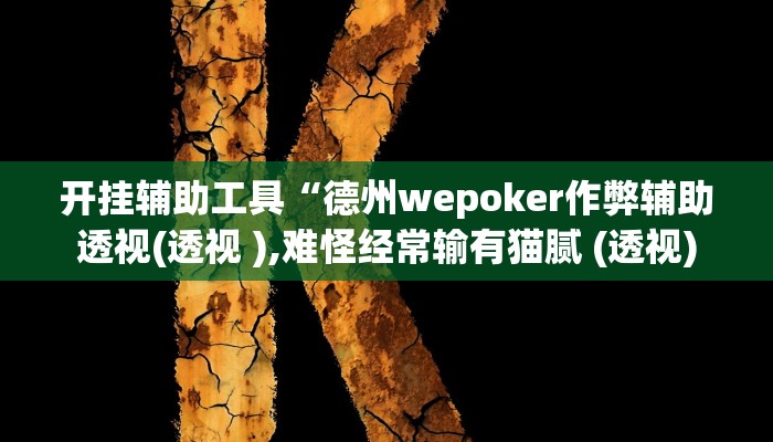 开挂辅助工具“德州wepoker作弊辅助透视(透视 ),难怪经常输有猫腻 (透视)