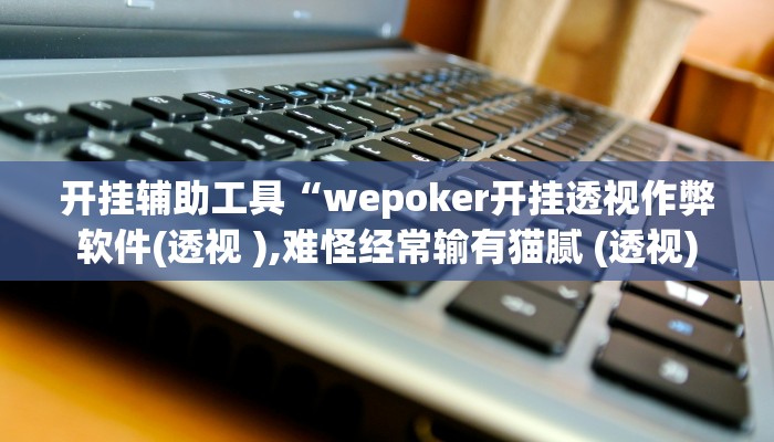 开挂辅助工具“wepoker开挂透视作弊软件(透视 ),难怪经常输有猫腻 (透视)
