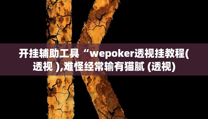 开挂辅助工具“wepoker透视挂教程(透视 ),难怪经常输有猫腻 (透视)