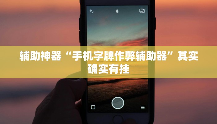 辅助神器“手机字牌作弊辅助器”其实确实有挂
