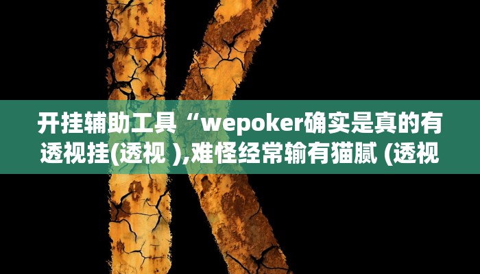 开挂辅助工具“wepoker确实是真的有透视挂(透视 ),难怪经常输有猫腻 (透视)