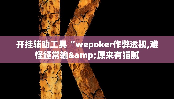 开挂辅助工具“wepoker作弊透视,难怪经常输&原来有猫腻
