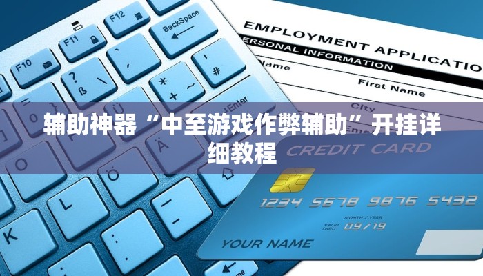 辅助神器“中至游戏作弊辅助”开挂详细教程