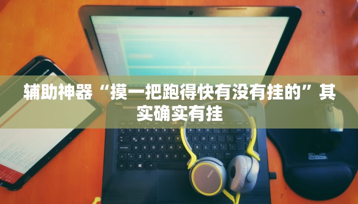 辅助神器“摸一把跑得快有没有挂的”其实确实有挂