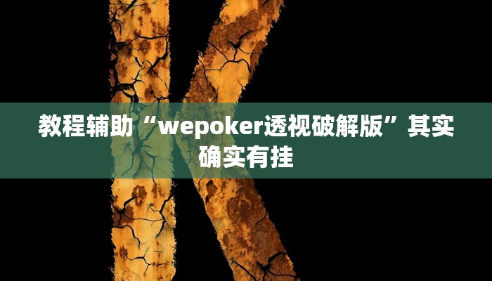 教程辅助“wepoker透视破解版”其实确实有挂