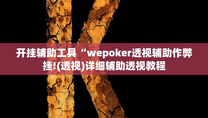 开挂辅助工具“wepoker透视辅助作弊挂!(透视)详细辅助透视教程