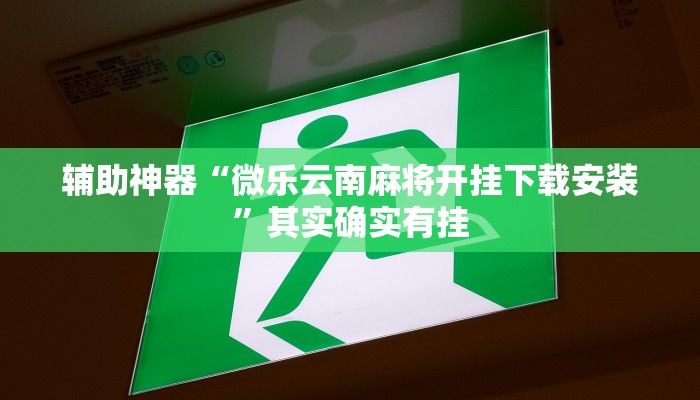 辅助神器“微乐云南麻将开挂下载安装”其实确实有挂