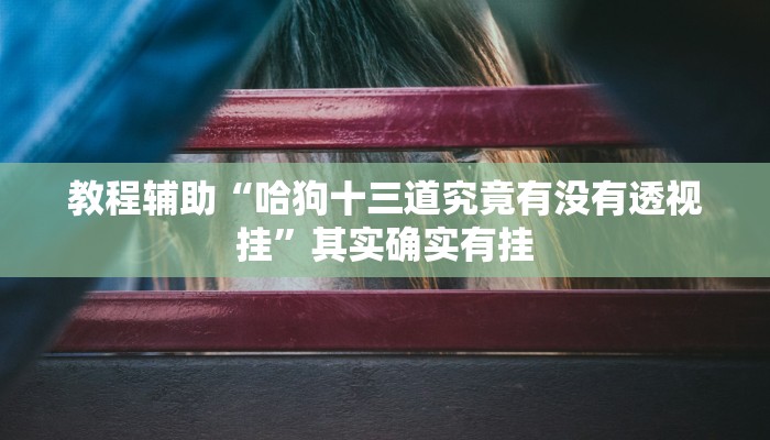教程辅助“哈狗十三道究竟有没有透视挂”其实确实有挂