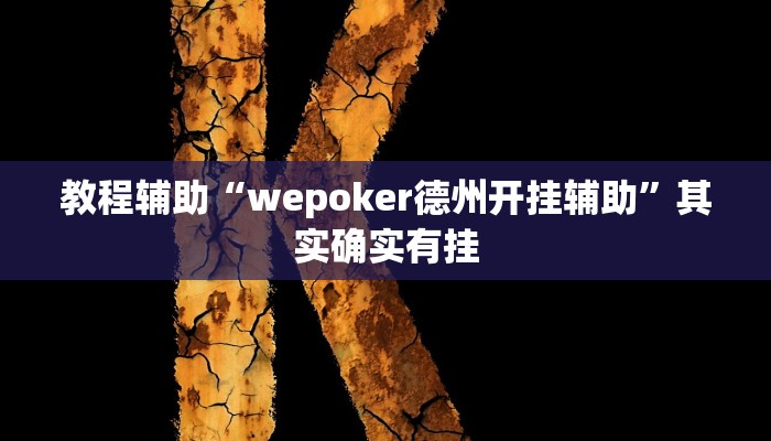 教程辅助“wepoker德州开挂辅助”其实确实有挂