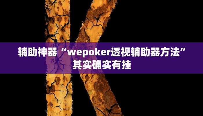 辅助神器“wepoker透视辅助器方法”其实确实有挂