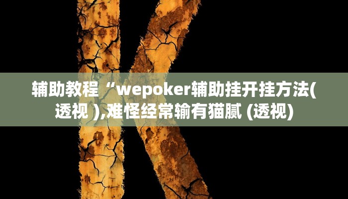 辅助教程“wepoker辅助挂开挂方法(透视 ),难怪经常输有猫腻 (透视)