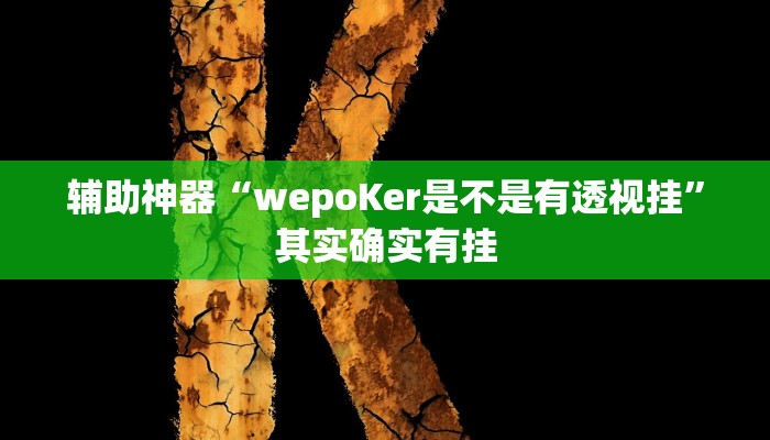 辅助神器“wepoKer是不是有透视挂”其实确实有挂