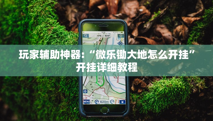 玩家辅助神器:“微乐锄大地怎么开挂”开挂详细教程