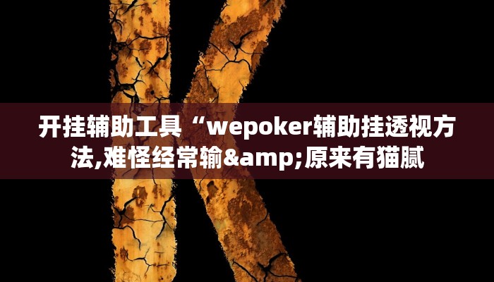 开挂辅助工具“wepoker辅助挂透视方法,难怪经常输&原来有猫腻