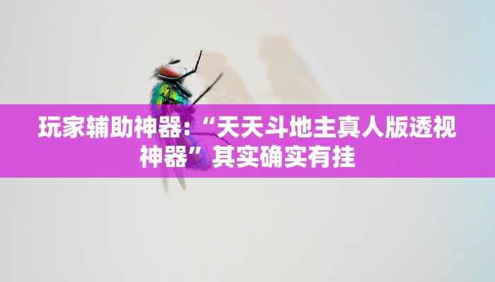 玩家辅助神器:“天天斗地主真人版透视神器”其实确实有挂