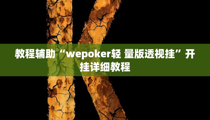 教程辅助“wepoker轻 量版透视挂”开挂详细教程