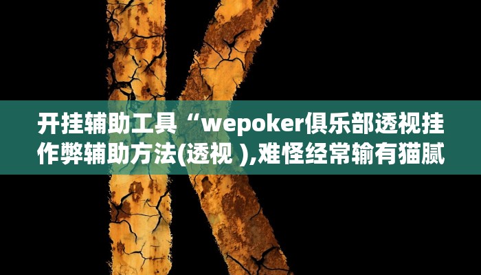 开挂辅助工具“wepoker俱乐部透视挂作弊辅助方法(透视 ),难怪经常输有猫腻 (透视)