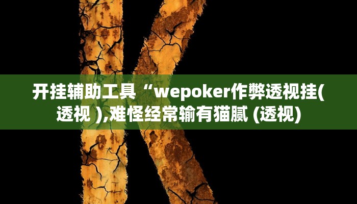 开挂辅助工具“wepoker作弊透视挂(透视 ),难怪经常输有猫腻 (透视)