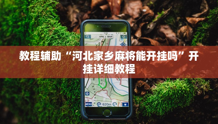 教程辅助“河北家乡麻将能开挂吗”开挂详细教程