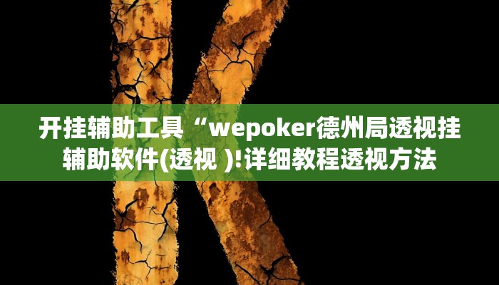 开挂辅助工具“wepoker德州局透视挂辅助软件(透视 )!详细教程透视方法