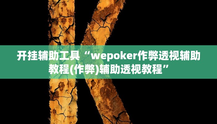 开挂辅助工具“wepoker作弊透视辅助教程(作弊)辅助透视教程”