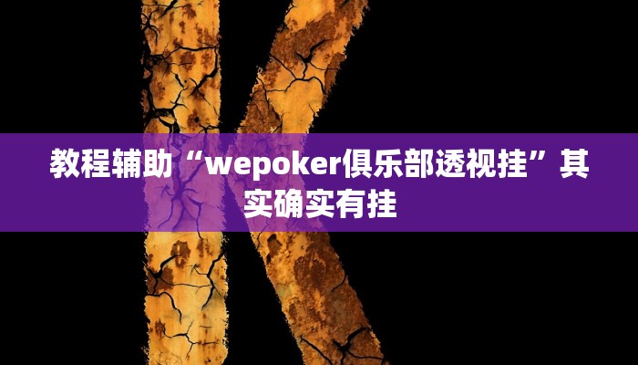 教程辅助“wepoker俱乐部透视挂”其实确实有挂