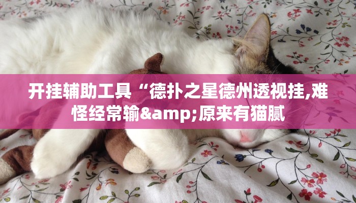 教程辅助“胡一把麻将外卦神器下载安装”开挂详细教程