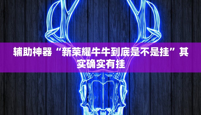 辅助神器“新荣耀牛牛到底是不是挂”其实确实有挂