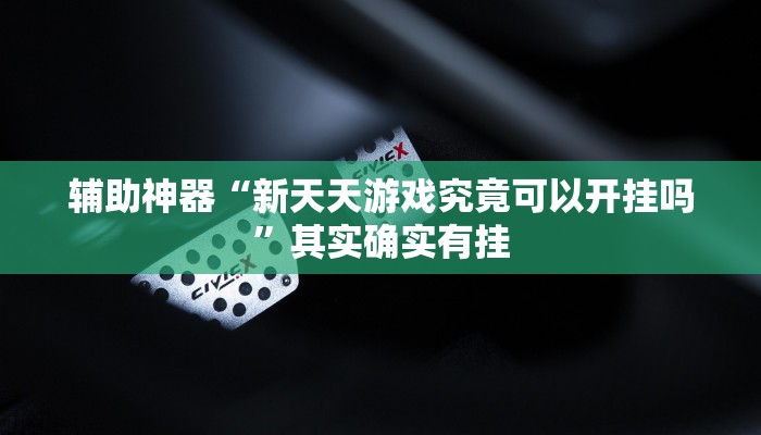 辅助神器“新天天游戏究竟可以开挂吗”其实确实有挂