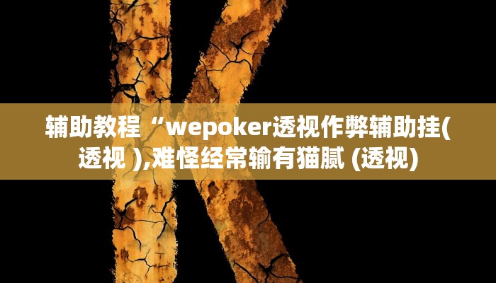 辅助教程“wepoker透视作弊辅助挂(透视 ),难怪经常输有猫腻 (透视)