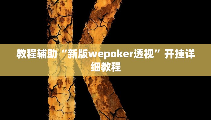 教程辅助“新版wepoker透视”开挂详细教程