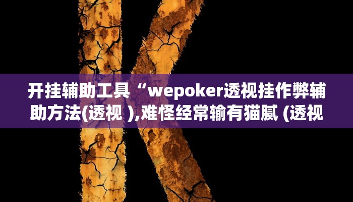 开挂辅助工具“wepoker透视挂作弊辅助方法(透视 ),难怪经常输有猫腻 (透视)