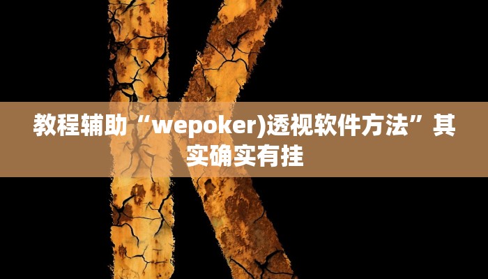 教程辅助“wepoker)透视软件方法”其实确实有挂