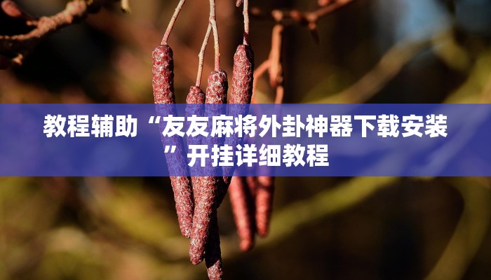 教程辅助“友友麻将外卦神器下载安装”开挂详细教程