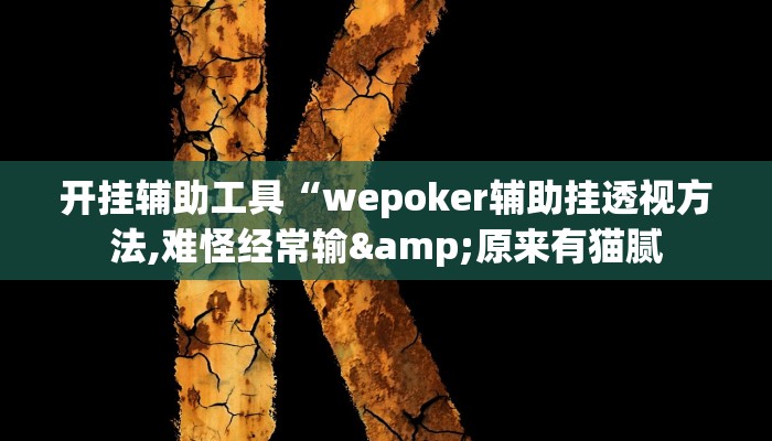 开挂辅助工具“wepoker辅助挂透视方法,难怪经常输&原来有猫腻